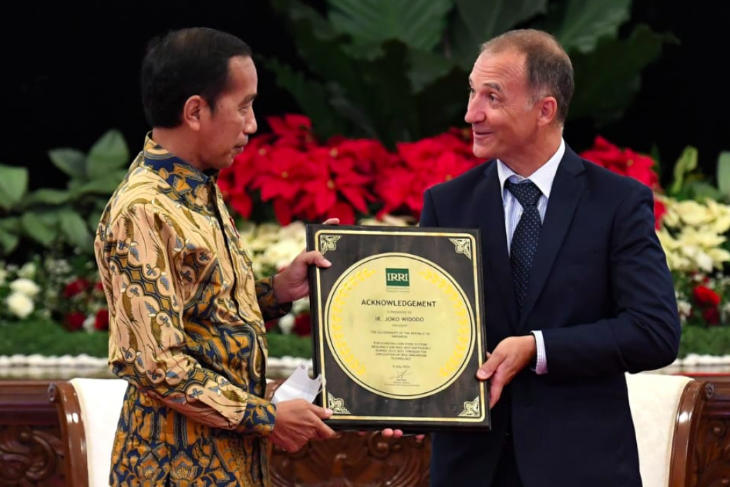 Swasembada Pangan, Jokowi Jamin Ketahanan Pangan Nasional